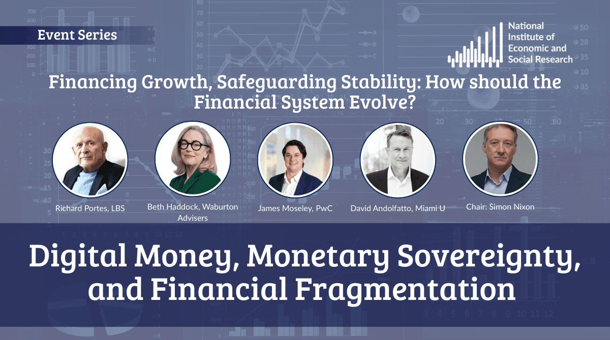 NIESR Digital Money & Financial Stability Panel